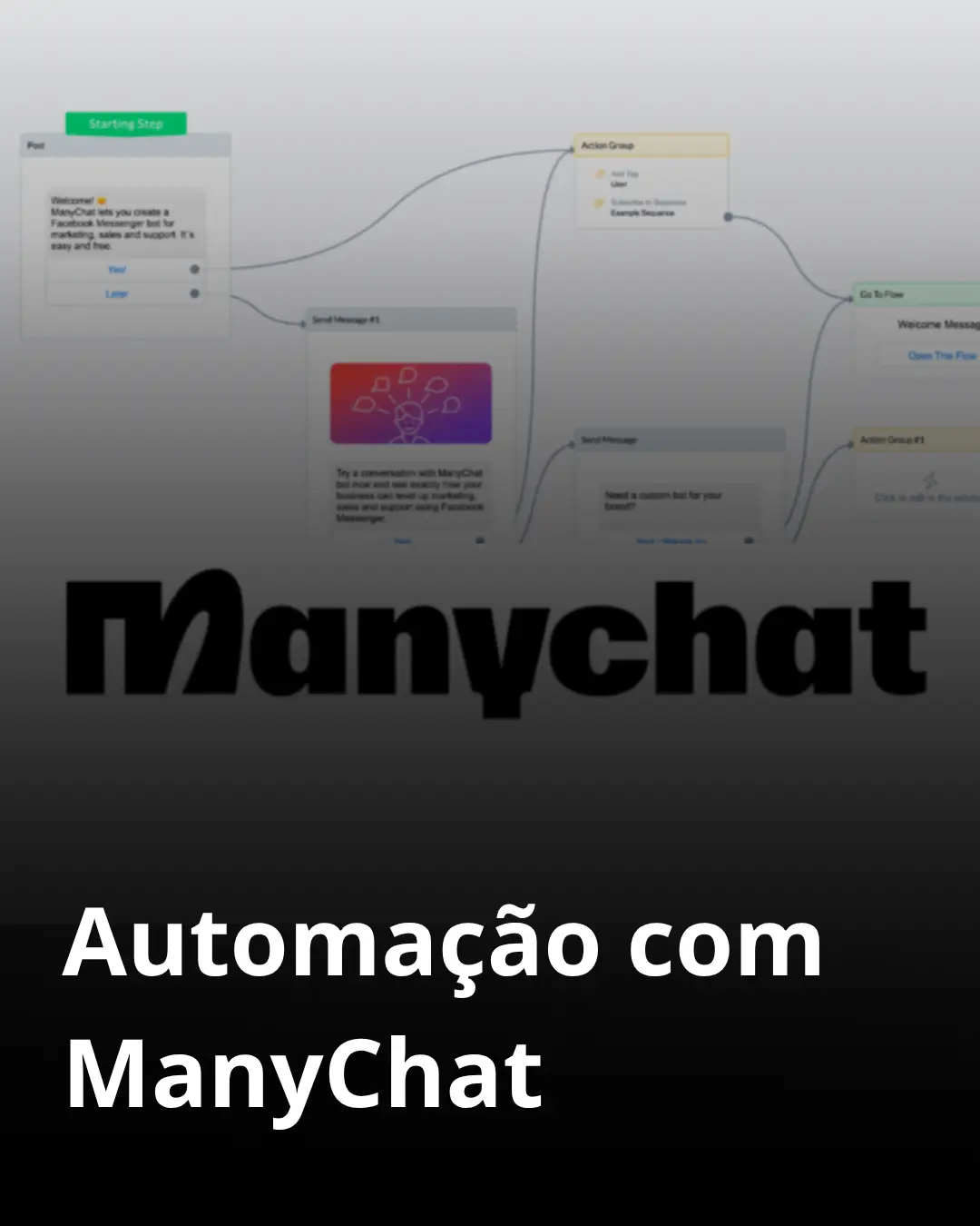 Bônus 2 - Automação com ManyChat